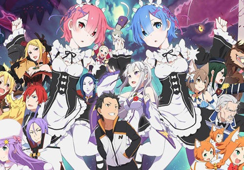 Re:Zero Body Pillow | Dakimakura